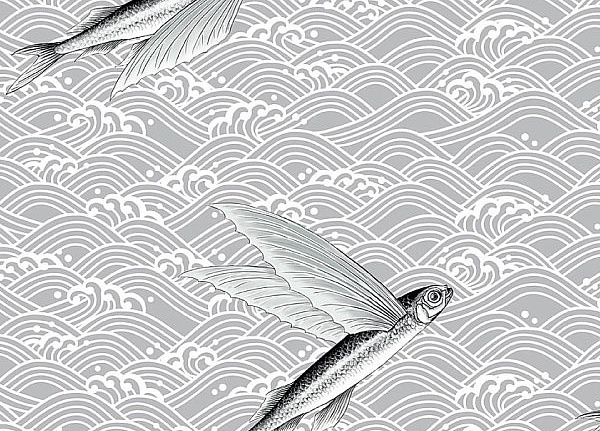 Ткань Flying Fish Interior Textiles C-2-L
