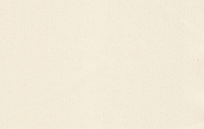 Испанская ткань Vistex, коллекция Hedwig Dimout Plain, артикул HedwigDimoutPlain/Beige