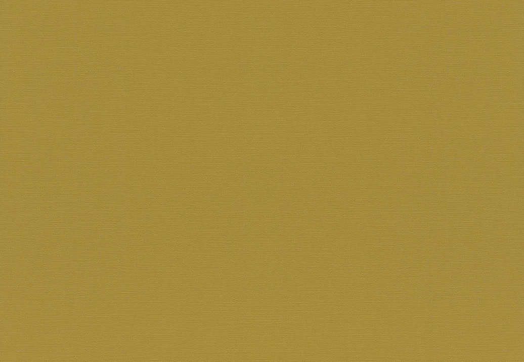 Обои Rasch Topical House 687521