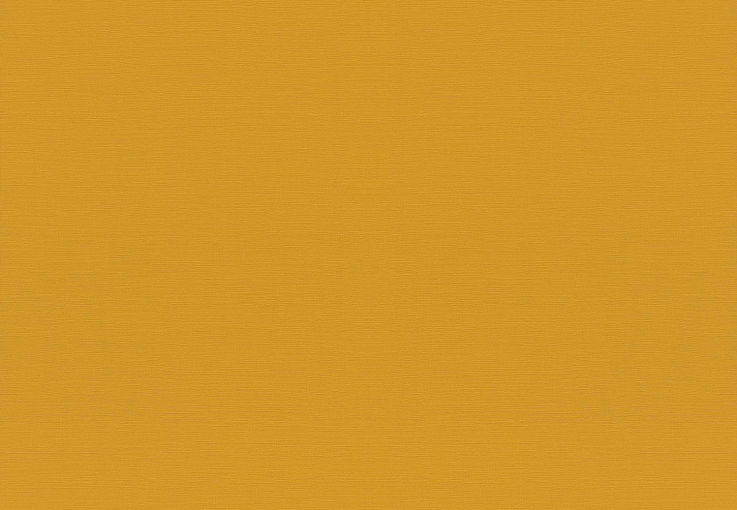 Обои Rasch Topical House 687552