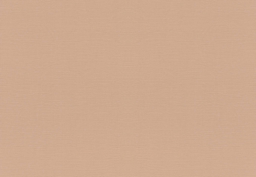Обои Rasch Topical House 687576