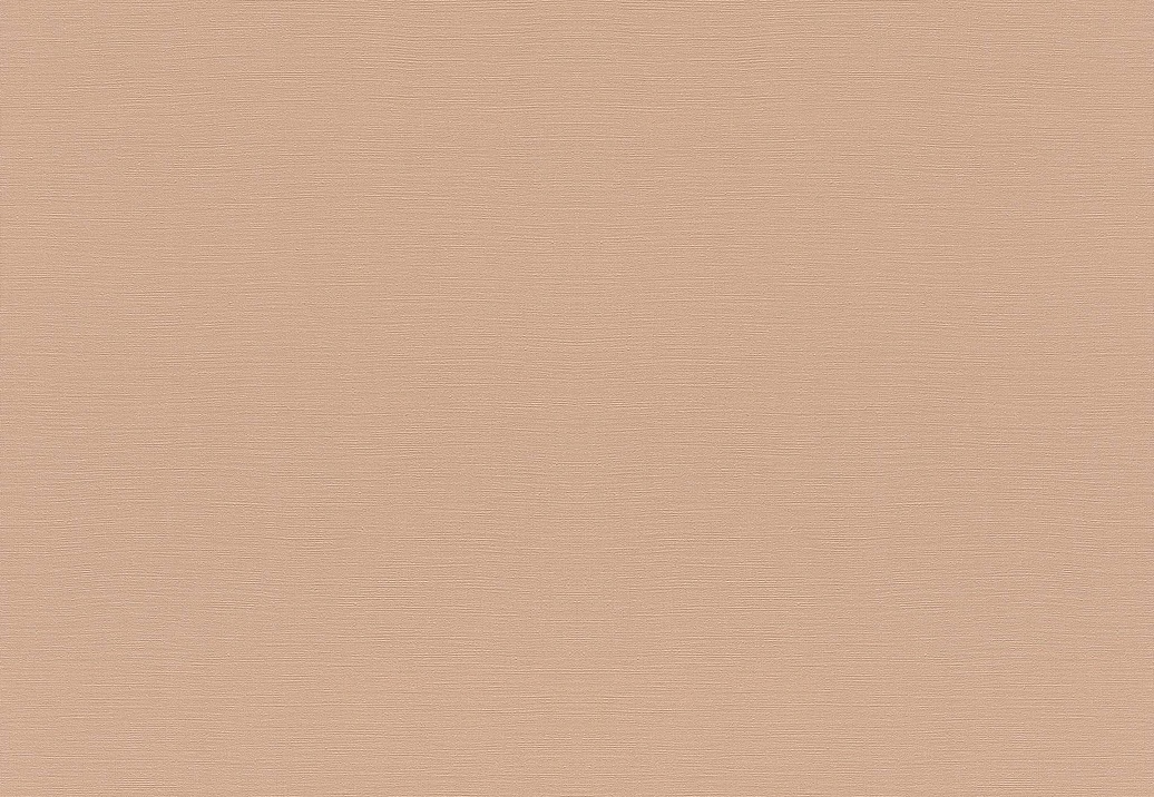 Обои Rasch Topical House 687576