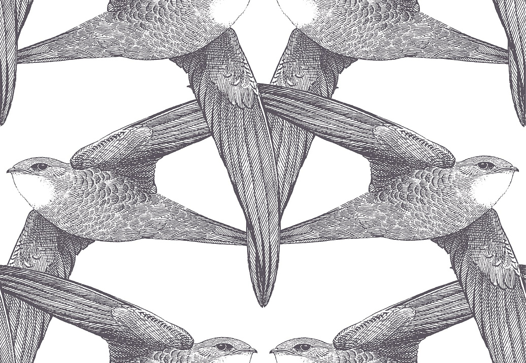 Панно и фотообои Bien Fait Papier Peint WhiteBirds/Anthracite