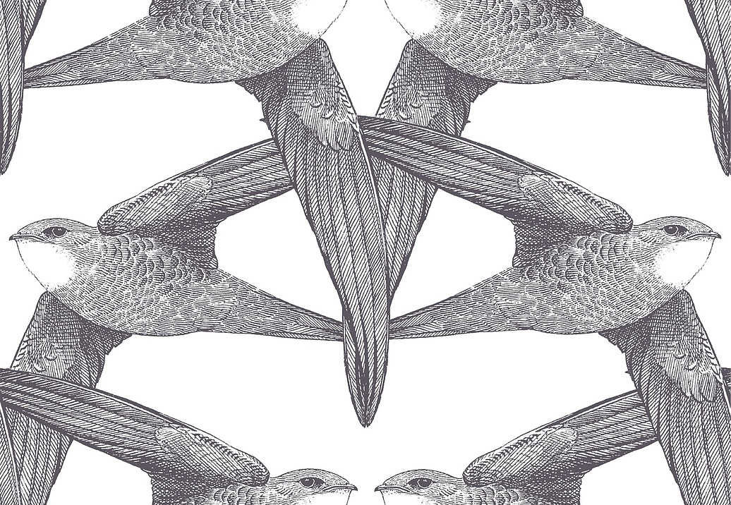 Панно и фотообои Bien Fait Papier Peint WhiteBirds/Anthracite