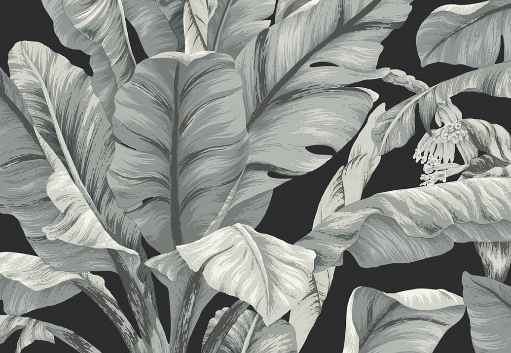 Обои York Black & White Resource Library BW3971