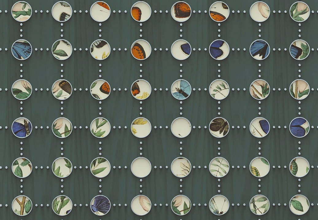 Панно и фотообои Wall & Deco Contemporary Wallpaper 2022 WDFW2202