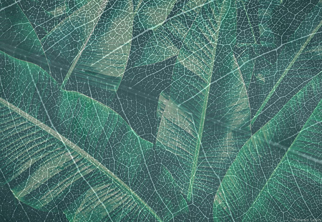 Панно и фотообои Gemini Designer murals collection KT349M-A
