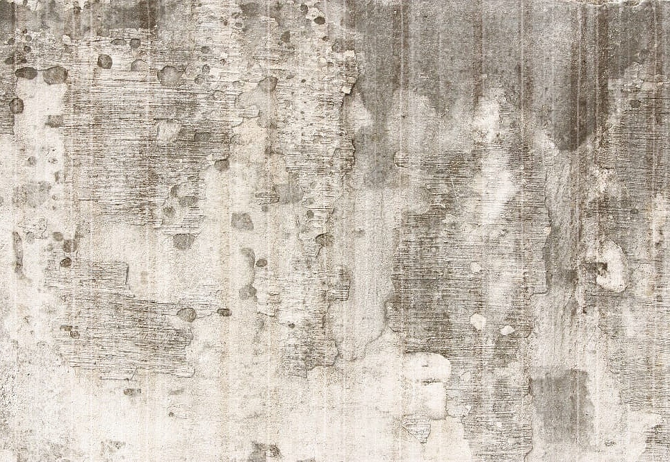 Панно и фотообои Gemini Designer murals collection KT226M-E