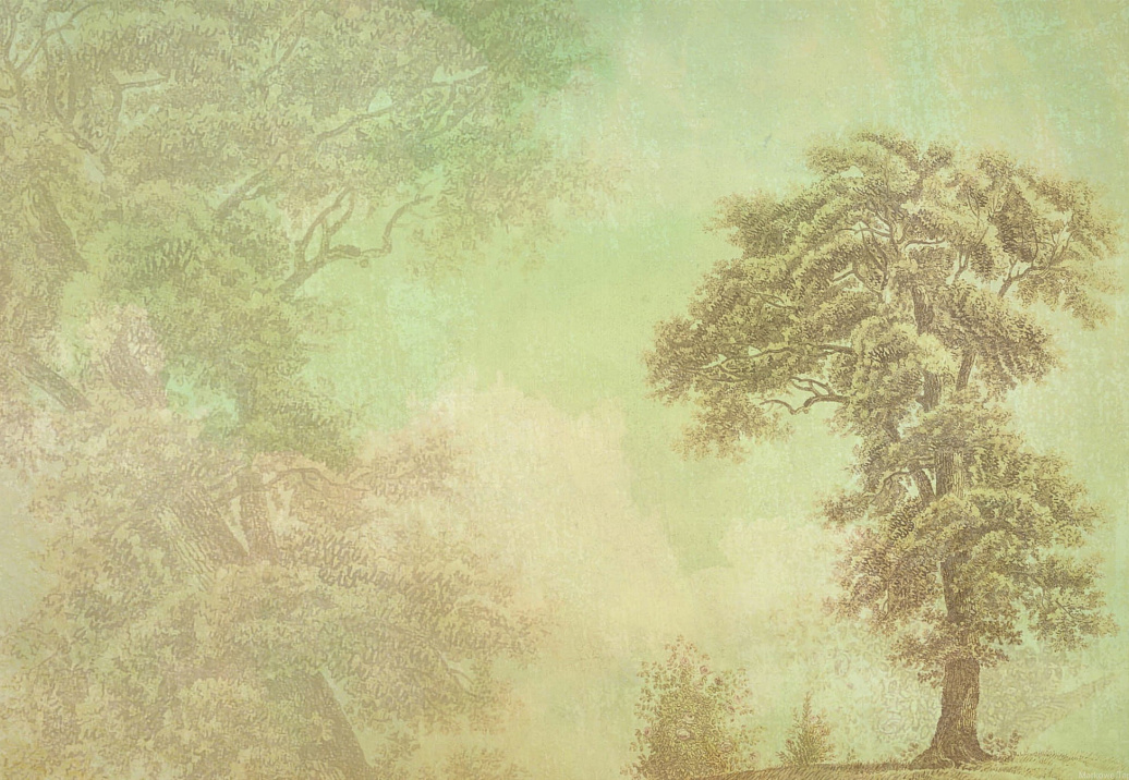 Панно и фотообои Gemini Designer murals collection KT929M