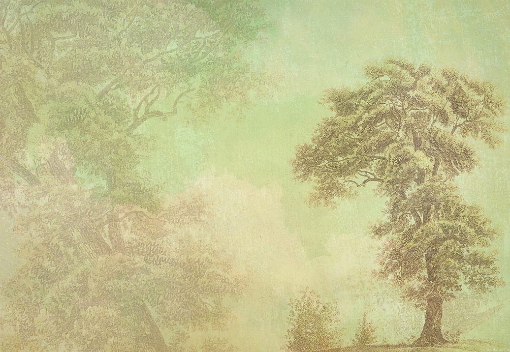 Панно и фотообои Gemini Designer murals collection KT929M