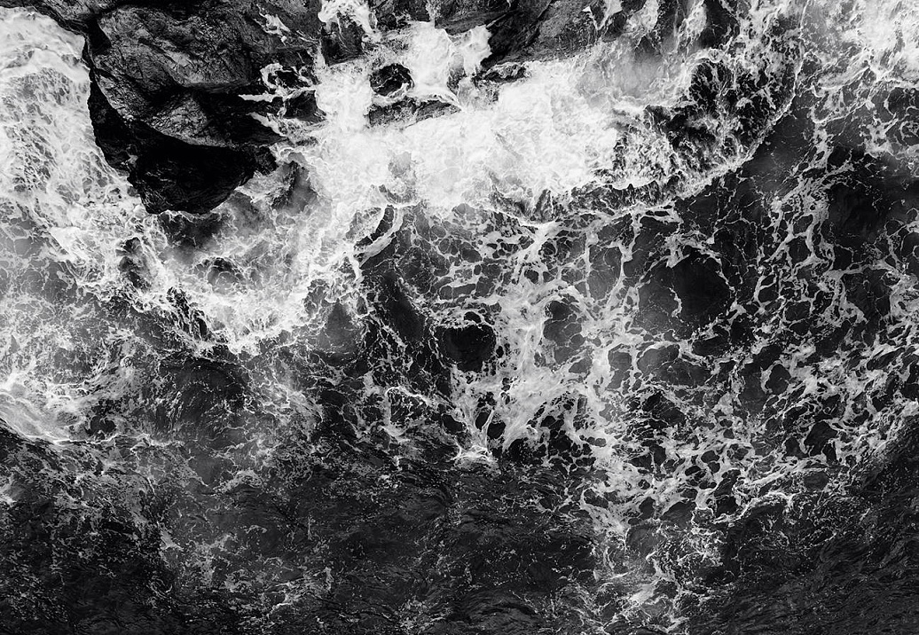 Обои Wall Street Bird See 20816