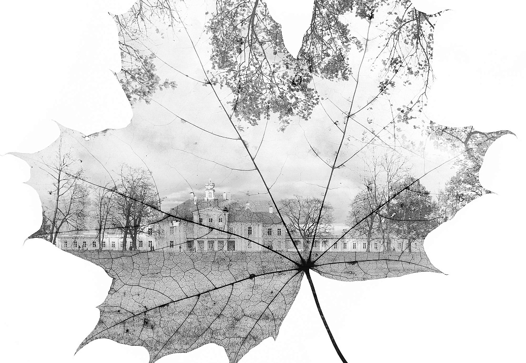 Обои Wall Street Grayscale 16936