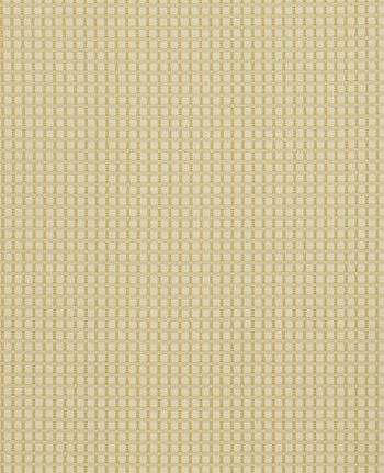Ткань Fabricut Chromatics Vol.XXII Golden Coralla/Hay