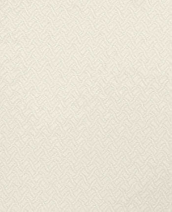Ткань Fabricut Chromatics Vol.XXIII Marble Bhakri/Ivory