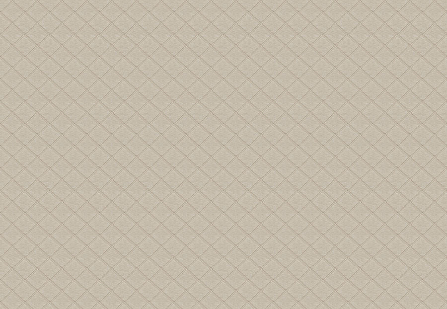 Ткань Fabricut Chromatics Vol.XXIII Marble Zizania Diamond/Birch