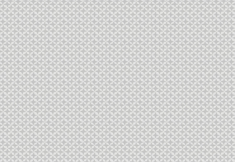 Ткань Fabricut Chromatics Vol.XXIII Zinc Arroz/Silver