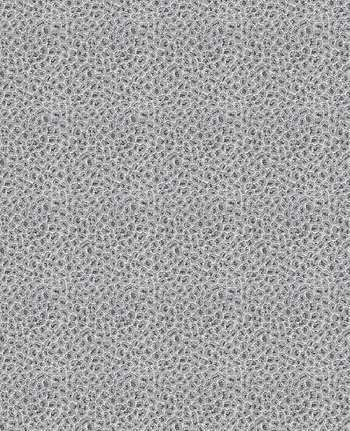 Ткань Fabricut Chromatics Vol.XXIII Zinc Weisbecker/Grey