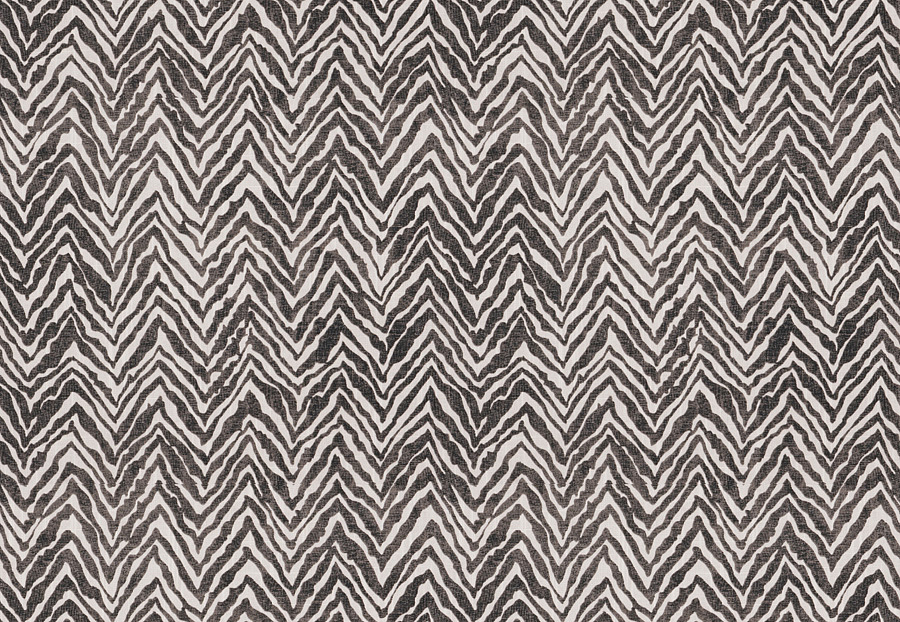 Ткань Fabricut Chromatics Vol.XXIV Shale Capture/Zebra