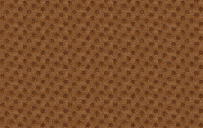 Американская ткань Fabricut, коллекция Color Studio Vol.VII Copper, артикул Peekaboo/Copper