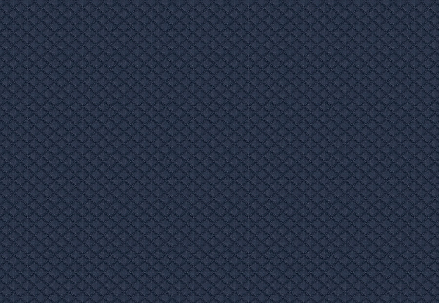 Ткань Fabricut Color Studio Vol.VII Navy Gifted/#01
