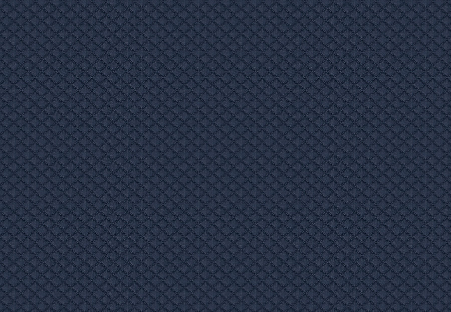 Ткань Fabricut Color Studio Vol.VII Navy Gifted/#01