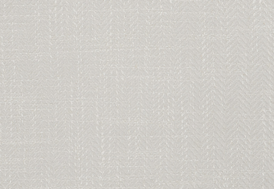 Ткань Fabricut Color Studio Vol.VII Oyster Arroyo/Canvas