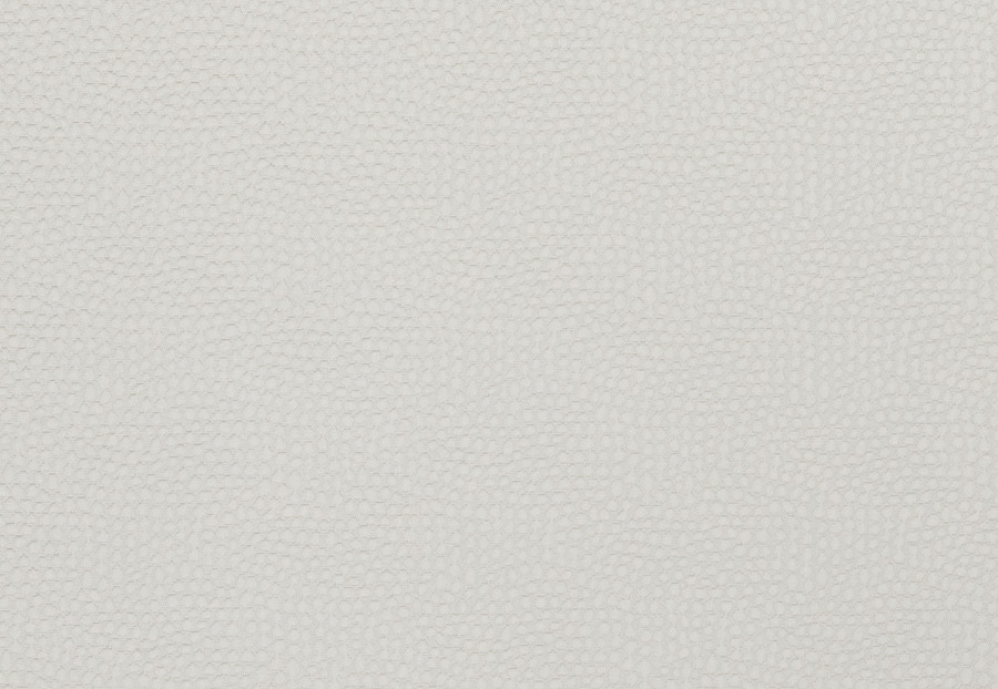 Ткань Fabricut Color Studio Vol.VII Oyster Transform/Crime