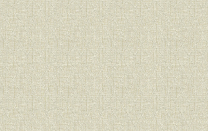 Американская ткань Fabricut, коллекция Color Studio Vol.VII Oyster, артикул Makeover/Powder