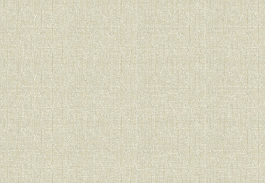 Ткань Fabricut Color Studio Vol.VII Oyster Makeover/Powder
