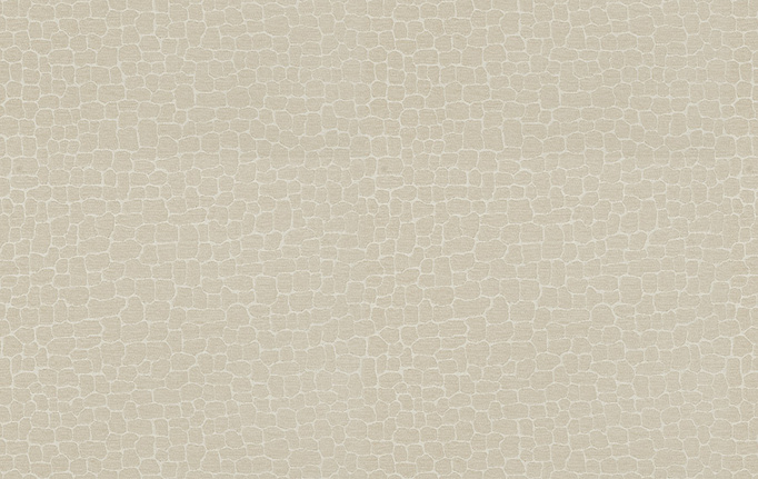Американская ткань Fabricut, коллекция Color Studio Vol.VII Oyster, артикул Echo park/Canvas
