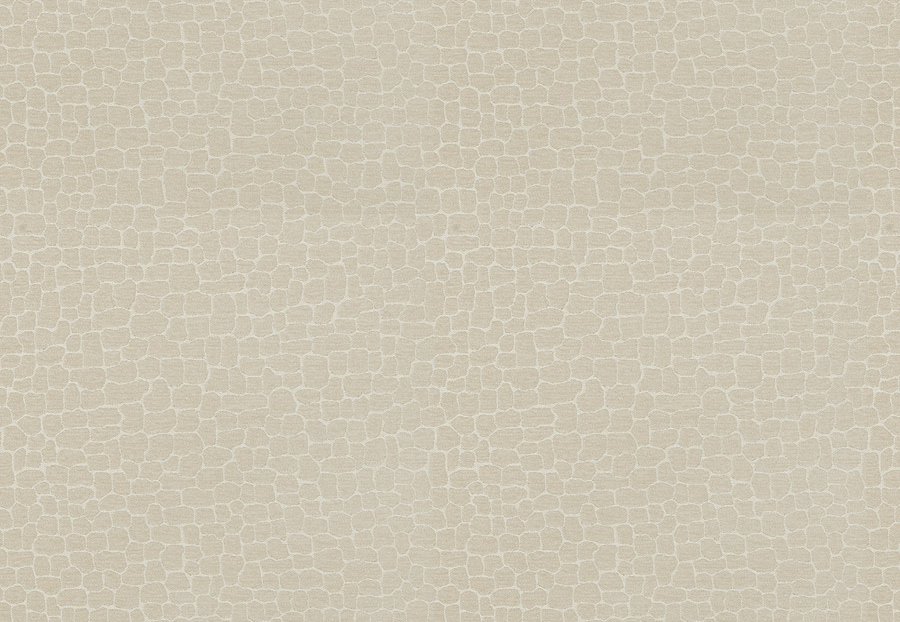 Ткань Fabricut Color Studio Vol.VII Oyster Echo park/Canvas