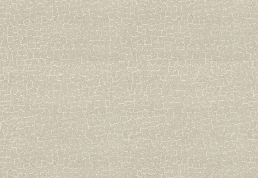 Ткань Fabricut Color Studio Vol.VII Oyster Echo park/Canvas