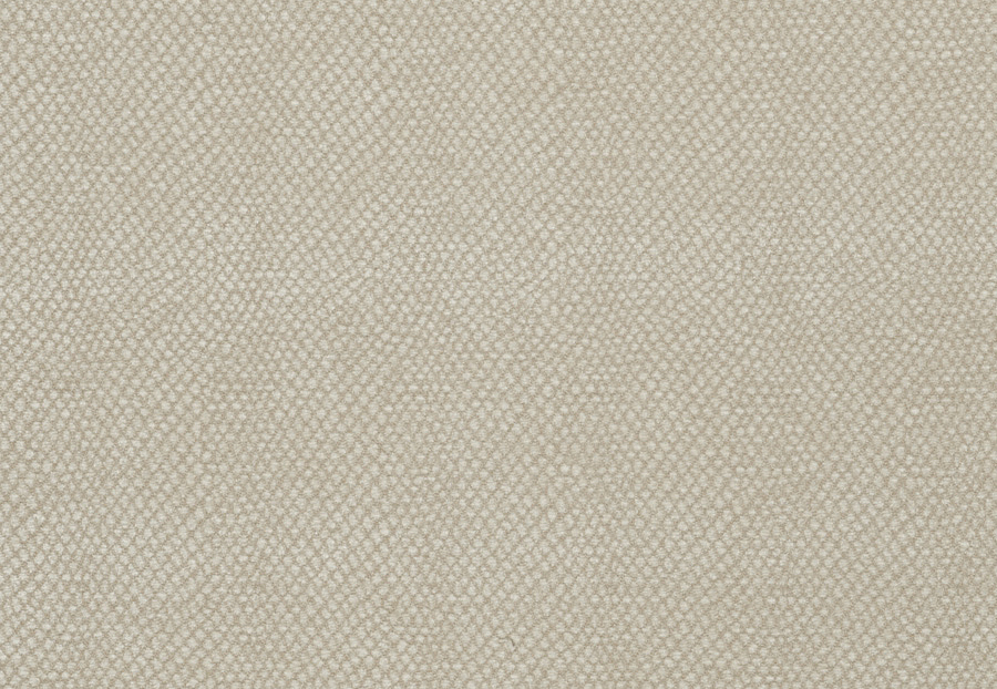 Ткань Fabricut Color Studio Vol.VII Oyster Sesame/Canvas