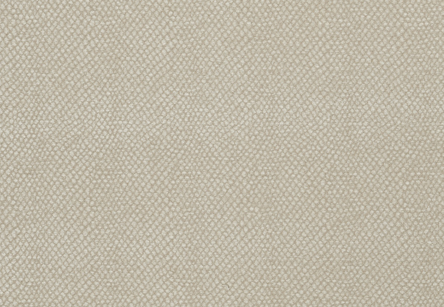Ткань Fabricut Color Studio Vol.VII Oyster Sesame/Canvas