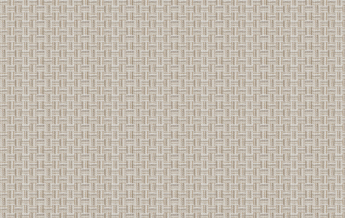 Американская ткань Fabricut, коллекция Color Studio Vol.VII Oyster, артикул Chenille basket/Oyster