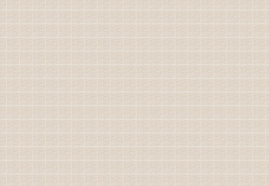 Ткань Fabricut Color Studio Vol.VIII Linen Covet/Linen