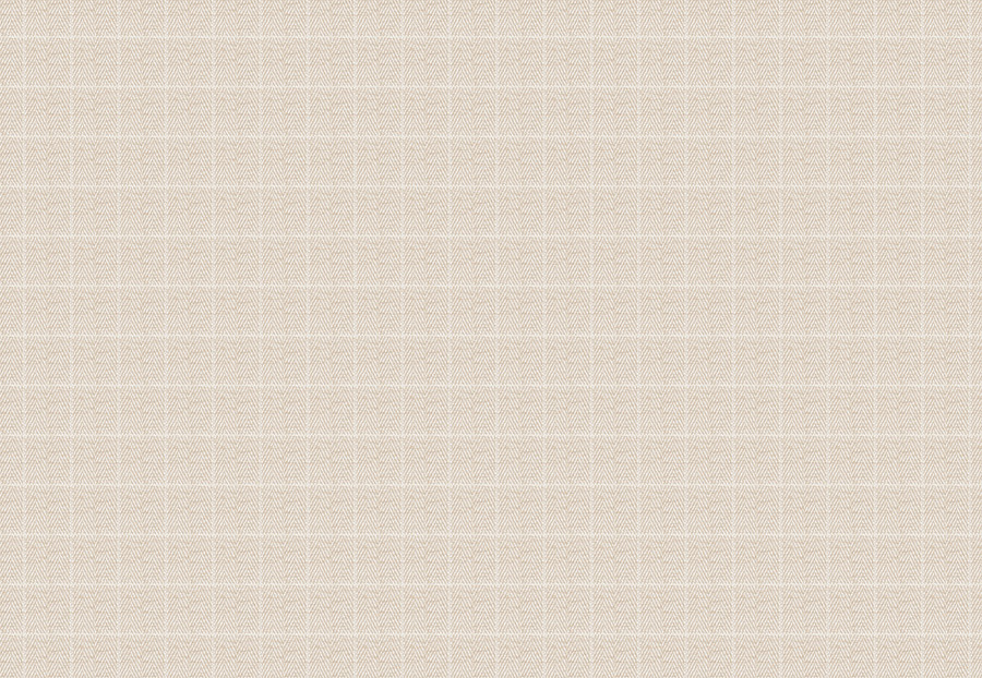 Ткань Fabricut Color Studio Vol.VIII Linen Covet/Linen