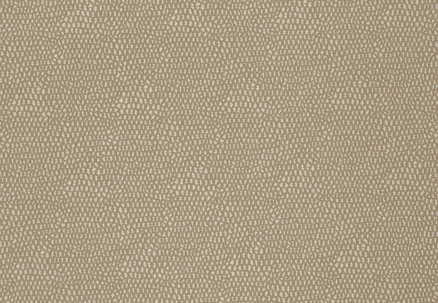Ткань Fabricut Color Studio Vol.VIII Linen Intermezzo/Biscuit