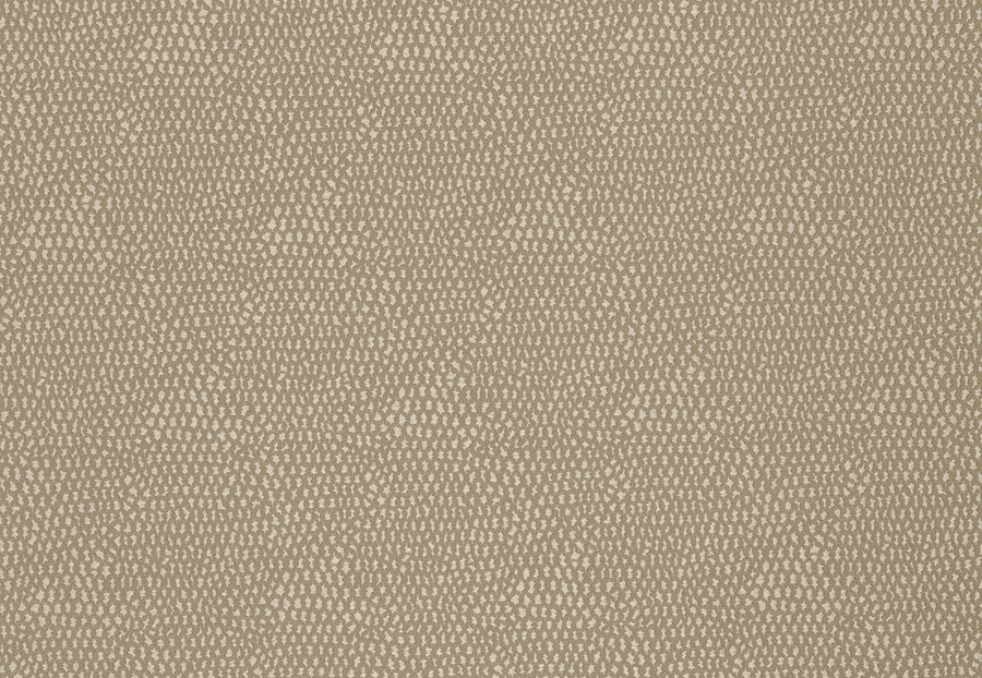 Ткань Fabricut Color Studio Vol.VIII Linen Intermezzo/Biscuit