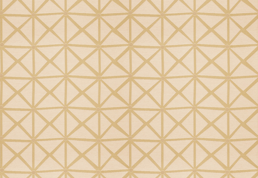 Ткань Fabricut Expressions Vol.V Goldleaf Rohu lattice/Citrus