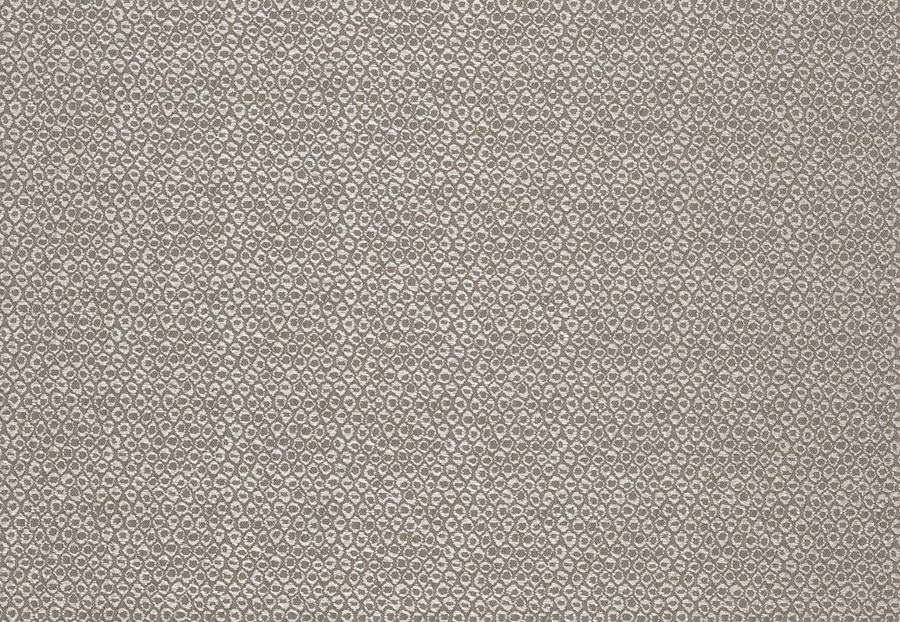 Ткань Fabricut Expressions Vol.V Shadow Kang/Platinum
