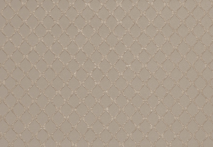 Ткань Fabricut Expressions Vol.V Shadow Moranta/Grey