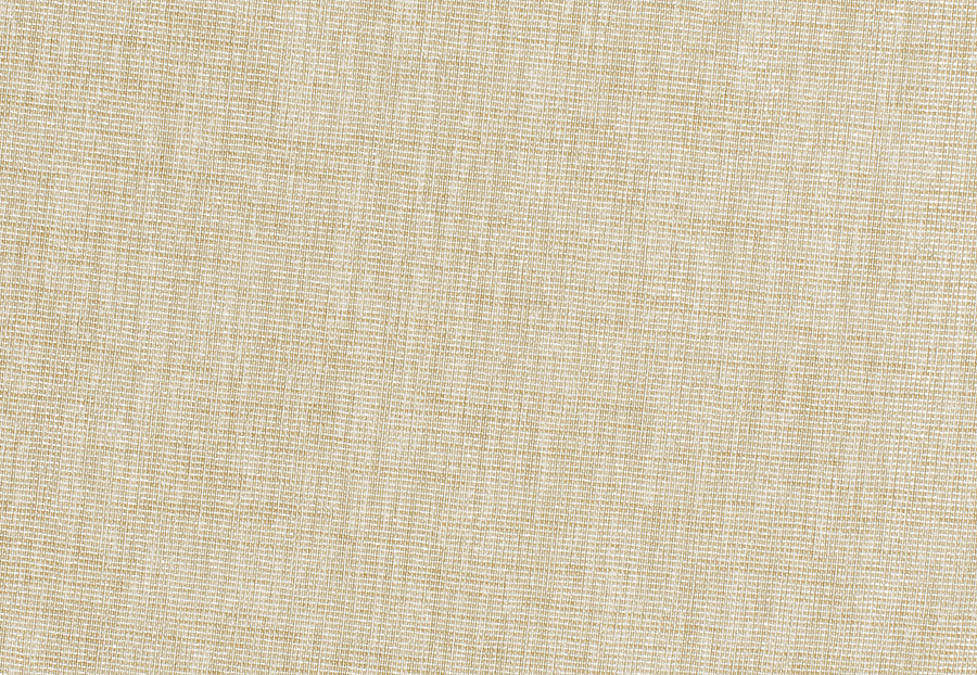 Ткань Fabricut Inspirations Vol.VI Stone Baive/Frosted linen