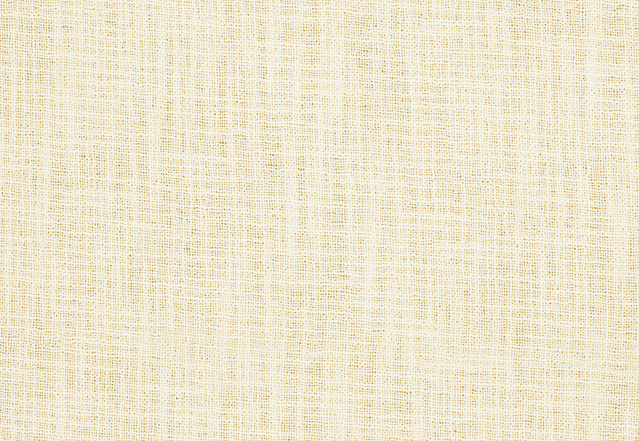 Ткань Fabricut Inspirations Vol. 6 Champagne Rodney/Cream