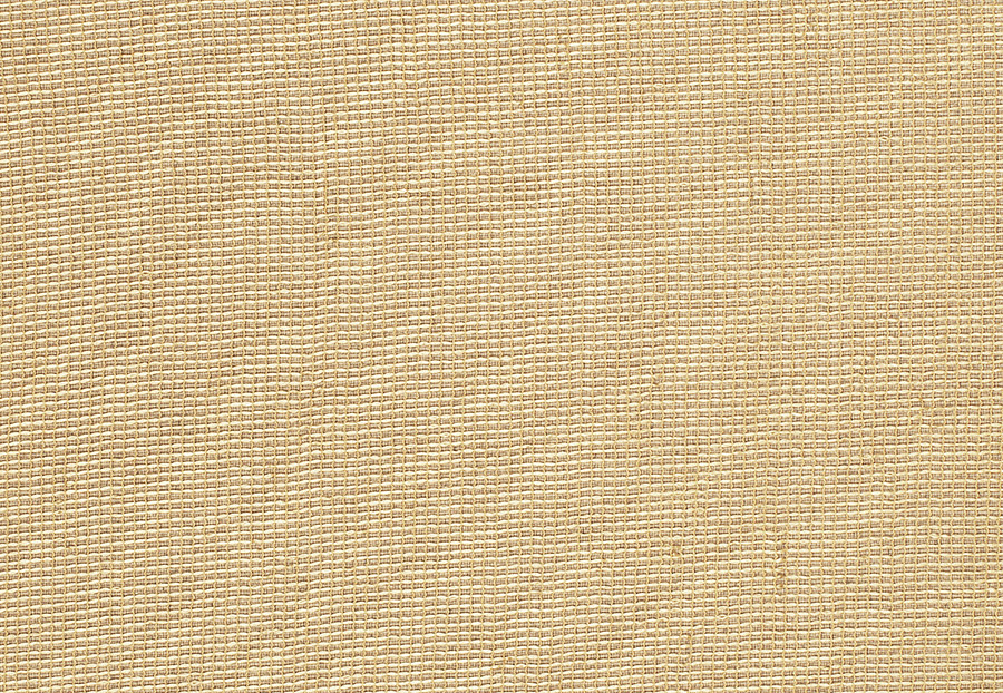 Ткань Fabricut Inspirations Vol. 6 Champagne Nala/Gold