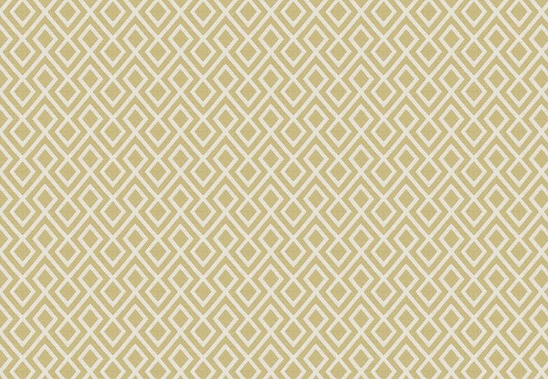Ткань Fabricut Modern Nuances Citron Green Guetta/Citrus