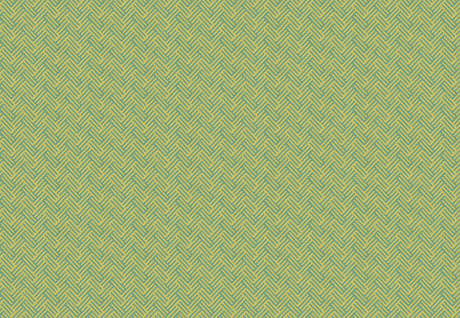 Ткань Fabricut Modern Nuances Citron Green Snowpatrol/Parrot