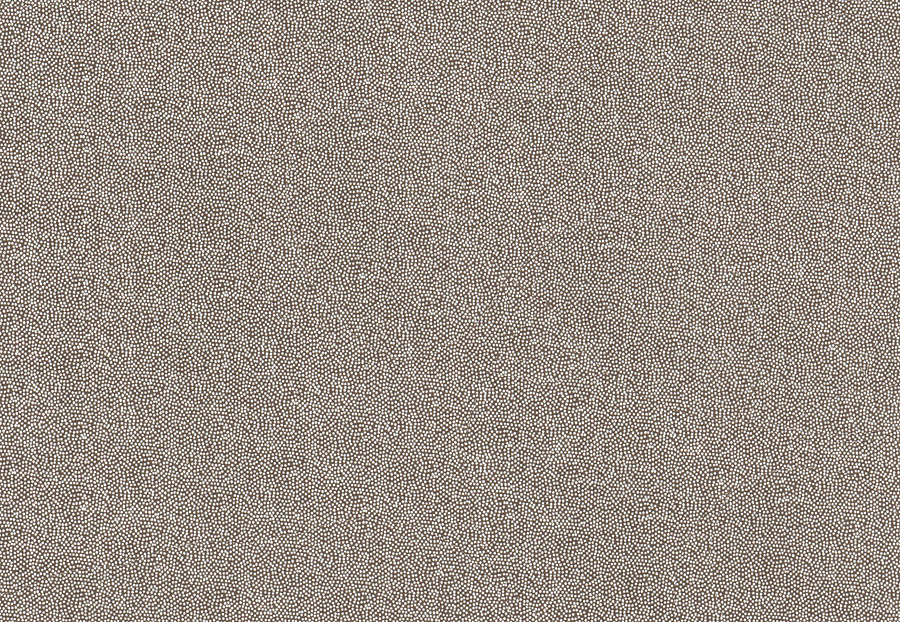 Ткань Fabricut Modern Nuances Grey Evanescence/Dark brown