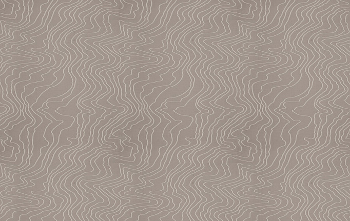 Американская ткань Fabricut, коллекция Modern Nuances Vol.II Charcoal, артикул Contour lines/Nickel