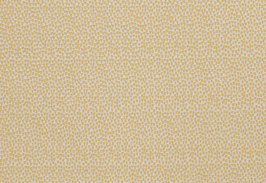 Ткань Fabricut Modern Nuances Vol.II Sesame Mcdibbs/Daisy